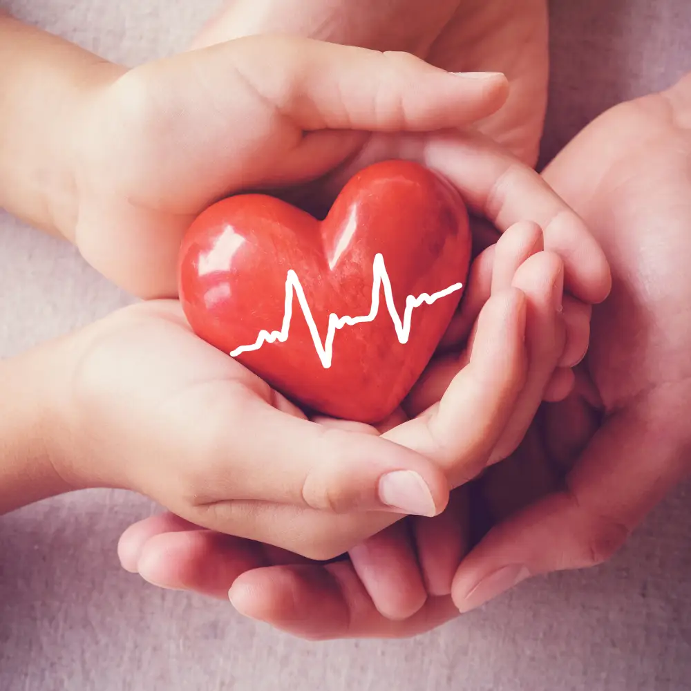 Call For Papers: Islamic Perspectives on Organ Donation after Death